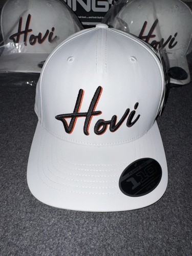 Ping hovi victor - ping, “hovi”