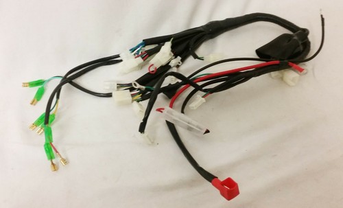 Wir24 wiring loom - wir24, harness