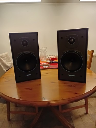 Tannoy e11 bookshelf speakers - e11,