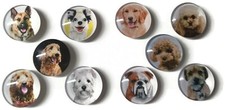 DOG BREEDS Glass Magnet Set - 10pc Handmade Decorative Memo Board Refrigerator 