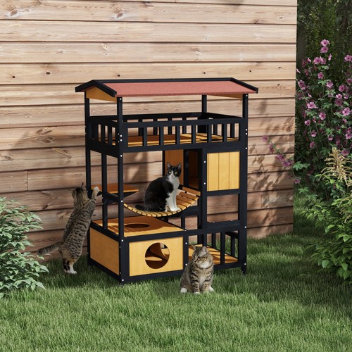 Tiers outdoor cat - 4,
