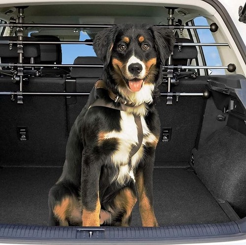 Premium car dog - guard, with