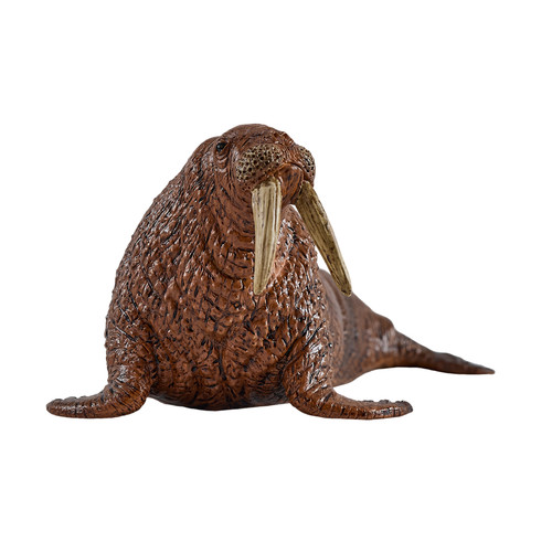 Mojo walrus hand painted - walrus, |