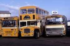 northern scottish nrd2 x