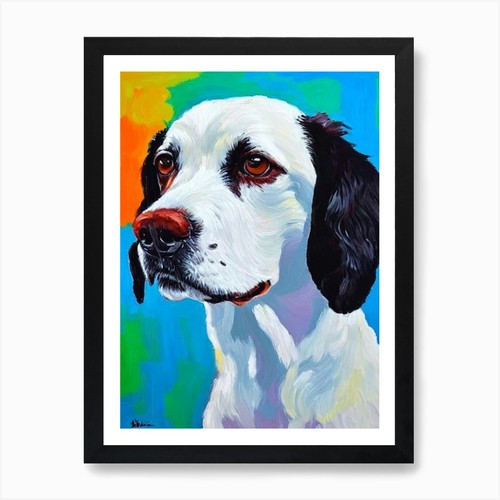 English springer spaniel - english,