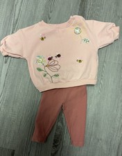Baby Girls Next 3-6 Months Floral Bee And Ladybird Jumper And Leggings Set
