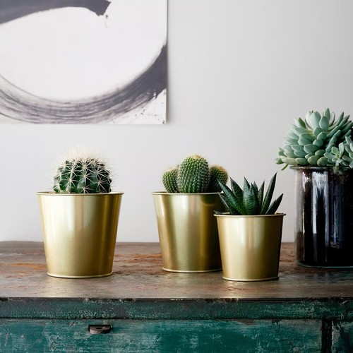 Daidaiplant pot brass colour - pot,, brass-colour