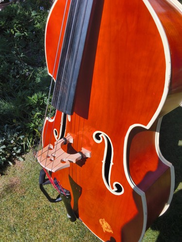Framus size upright - size, double