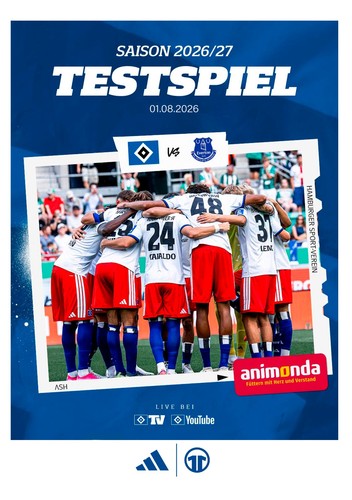Hamburg germany everton - v,