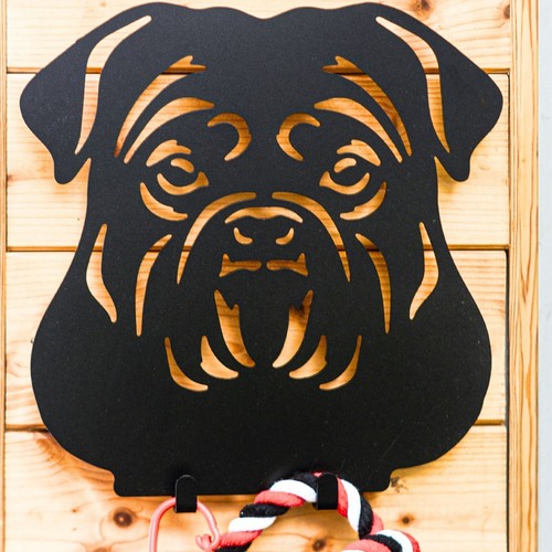 English bulldog harness - english,