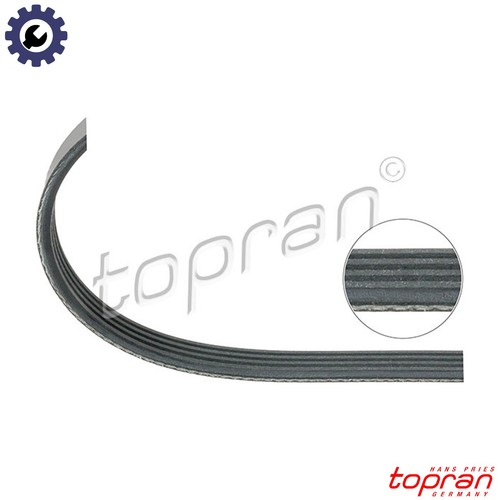 Vribbed belt 500 689 for - belt,