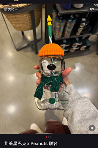 Starbucks peanuts snoopy - peanuts,