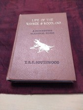 LIFE OF THE WAYSIDE AND