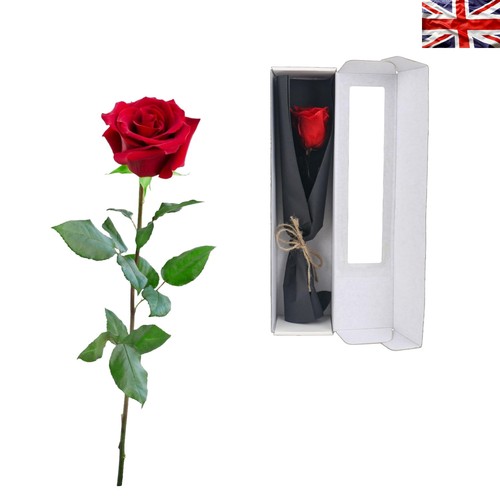 Elegant red infinity rose - elegant,