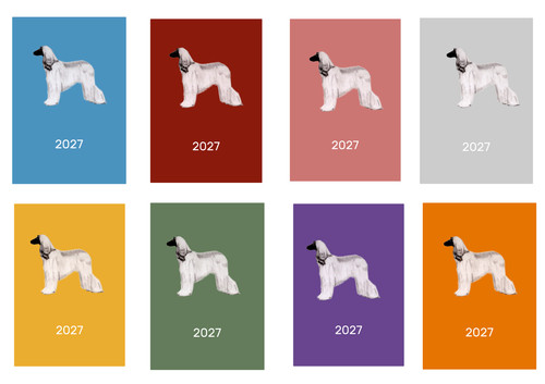 Afghan hound 2027 diary a6 - 2027,