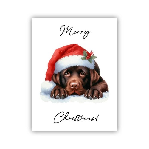 Chocolate labrador christmas - labrador,
