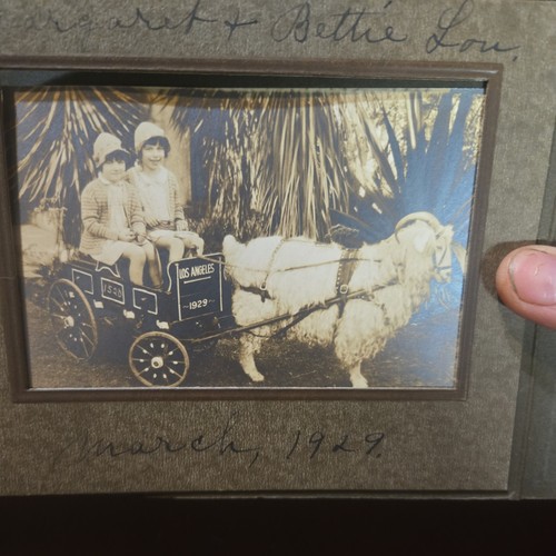 Antique los angeles photo goat - antique,