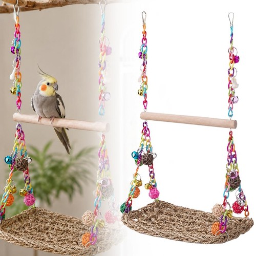 Parrot swing bird toy - parrot,