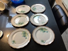 Dorchester Fine Bone China Floral Side Plates Set of 6