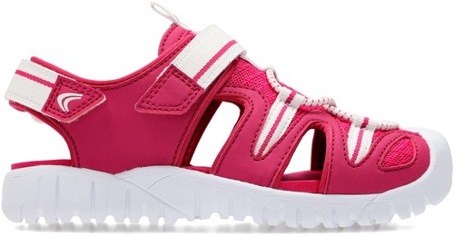 Clarks rapid bay raspberry - rapid, inf