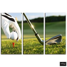 Golf Tee Shot   Sports BOX