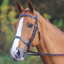 Shires Horse Velociti GARA