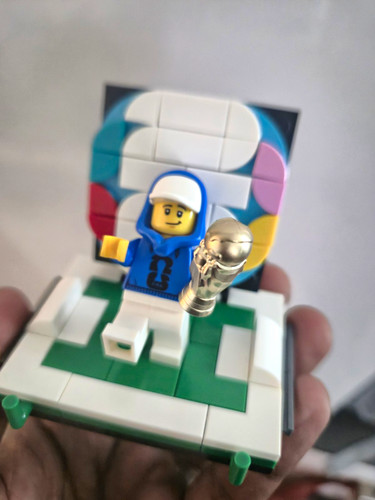 Lego fifa world cup official - world,