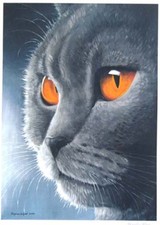 British Blue Shorthair cat art