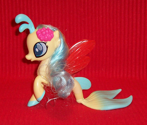 Little pony sea - my,