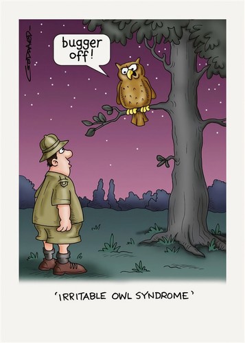 Funny birthday card irritable - birthday,