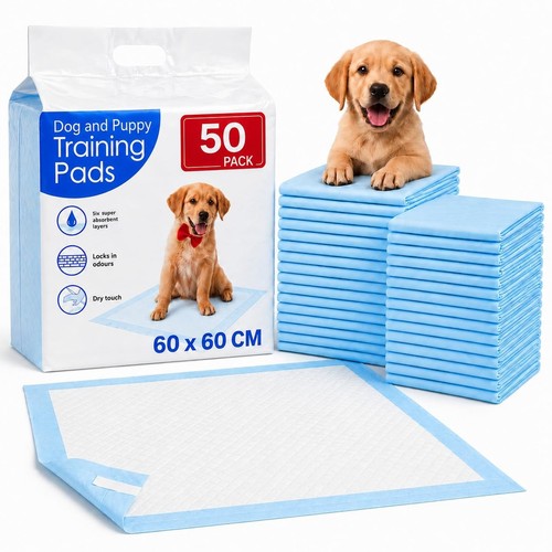60cm dog puppy - x, puppy,