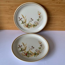 M&S Harvest Stoneware 6.5' Tea