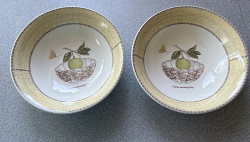 Sarah garden wedgwood - 2, sarah's