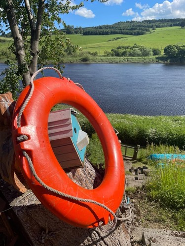 Life buoy safety ring - buoy, perri