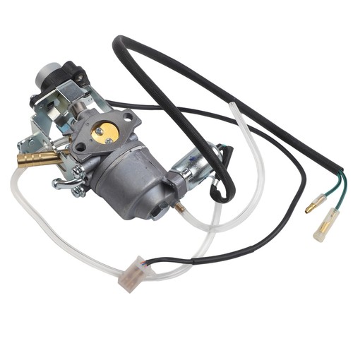 Dual fuel generator - generator,