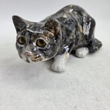 Winstanley Tortoishell Tabby