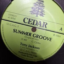 Tony Jackson - Summer Groove (Vinyl 12" Single) EX