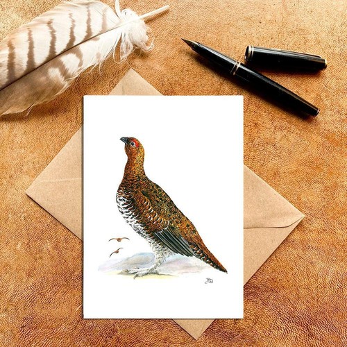 Male red grouse greeting card - greeting,