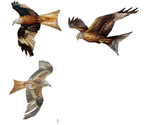Red kite magnet set - kite,