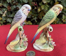 PAIR of Royal Adderley Bone China Budgerigar Budgie Bird Figure Figurine