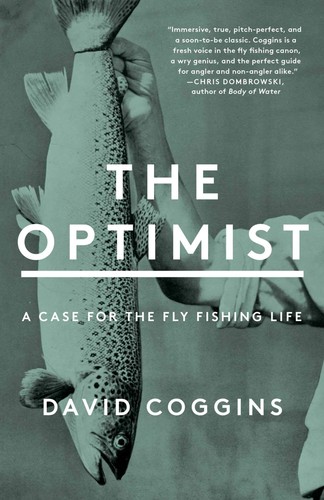 The optimist case for - optimist:,