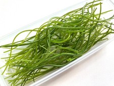 200g mixed green vitrigraph stringers, Bullseye Glass 90coe, for glass fusing