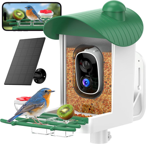 Bird feeder with - with, camera