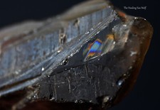 Shape-shifter Lemurian Starbrary Smoky Quartz Rainbow Galactic Imprints Glyphs