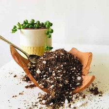 Enriched Soil Mix for Houseplants with Coco Peat, Orchid Bark, Perlite, Sphagnum