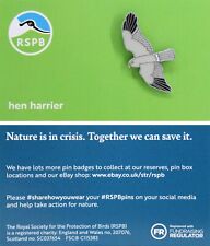 RSPB Pin Badge Hen Harrier