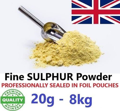 Sulphur powder flowers - powder, of