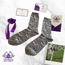 IRISH RED & WHITE SETTER DOG