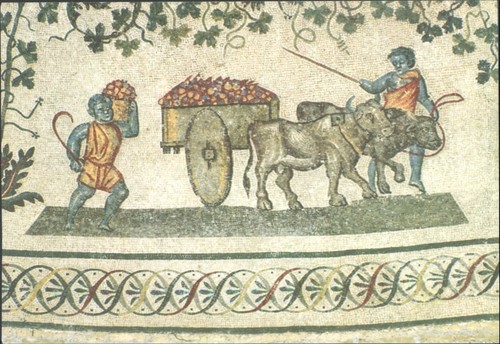 Roma postcard ancient - roma,