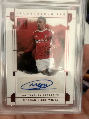 Panini 2023 impeccable - panini,